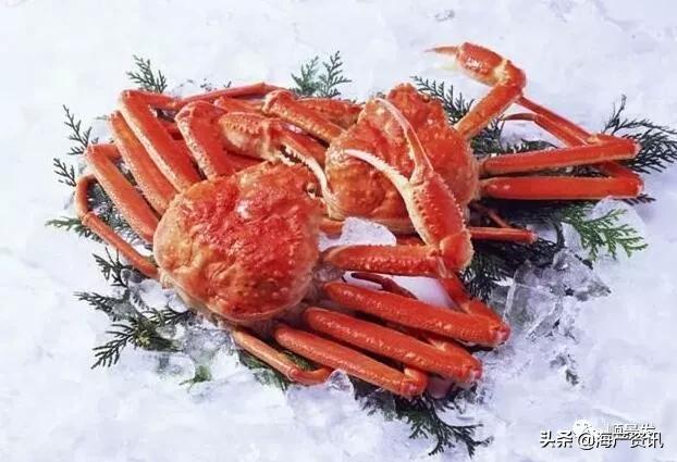 各国海鲜大盘点,今年过年最值得入手的海鲜