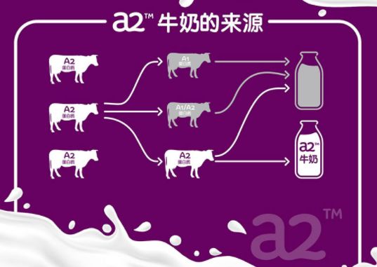 澳新篇，各大品牌奶粉甄选宝典