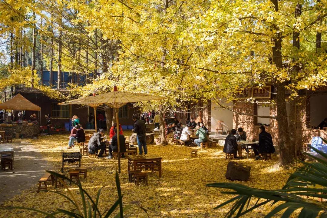 2019必去的旅行地,8月最新旅行地推荐