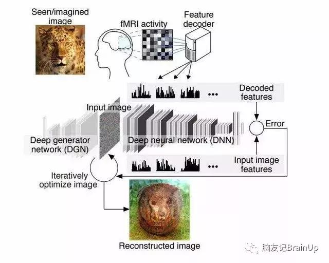 脑科学日报,脑科学ai专注力