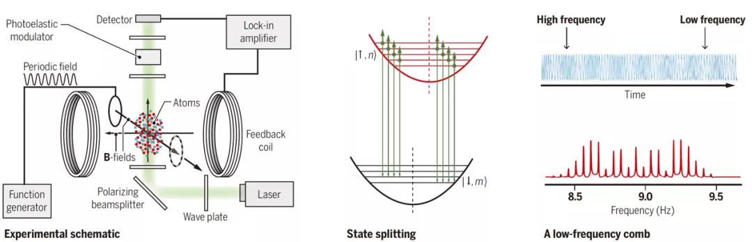 中国科学技术大学丨近期科研成果速览（下）