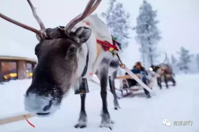 芬兰极光玻璃屋高清大图,芬兰玻璃屋极光横屏