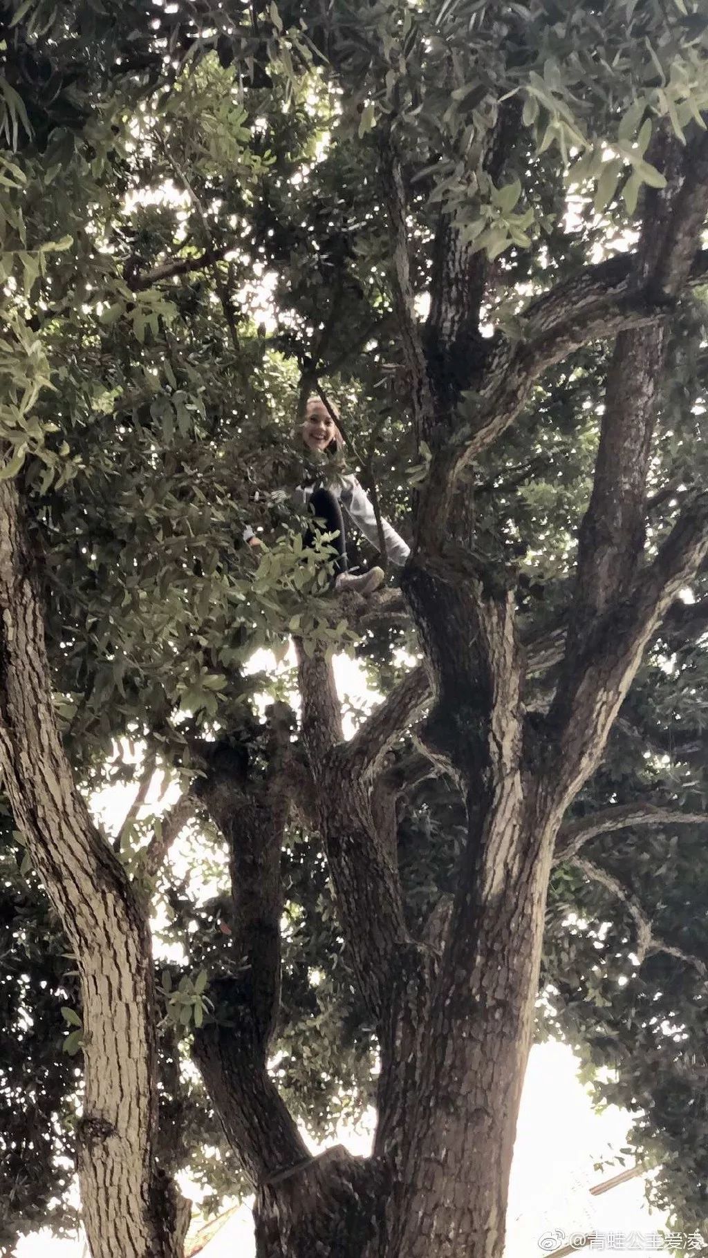 15岁原美籍天才滑雪少女,15岁花样滑冰天才少女中国