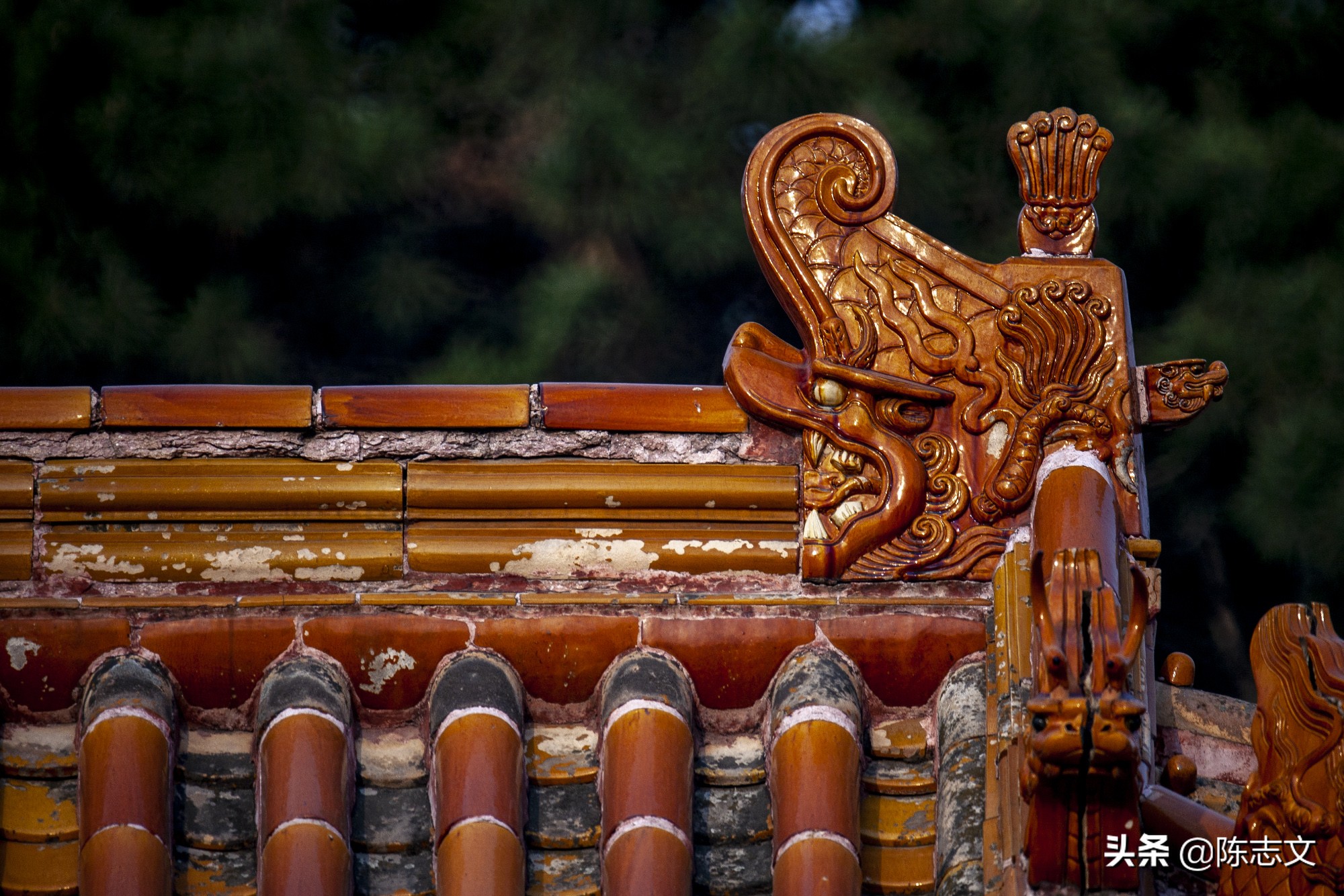 大清皇后娘娘竟然是江南名伎?太狗血了吧