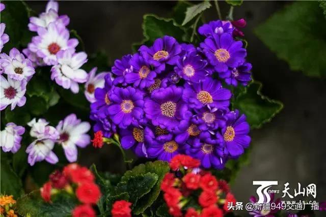 乌市各大商场,乌鲁木齐市购物商场逛街攻略