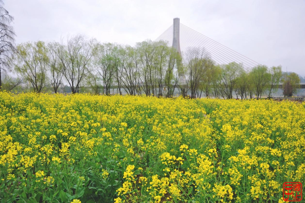 浙江母亲河钱塘江,浙江台州春风