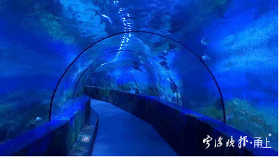 宁波夜间景点推荐,宁波人气最旺的景区