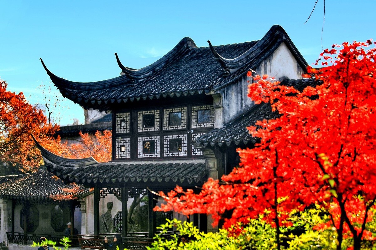 江南的秋天,温柔诗意,漫步姑苏城感受岁月静好,人间值得