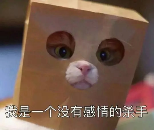 养猫包包,养猫保健药