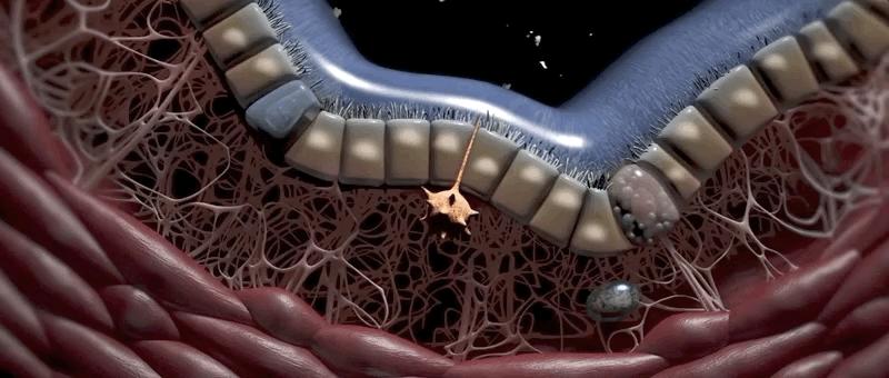 哮喘过敏症的症状,呼吸道过敏哮喘症状
