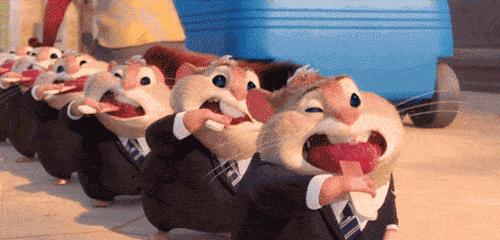 投资股票涨基金跌怎么回事,投资股票为什么有涨有跌