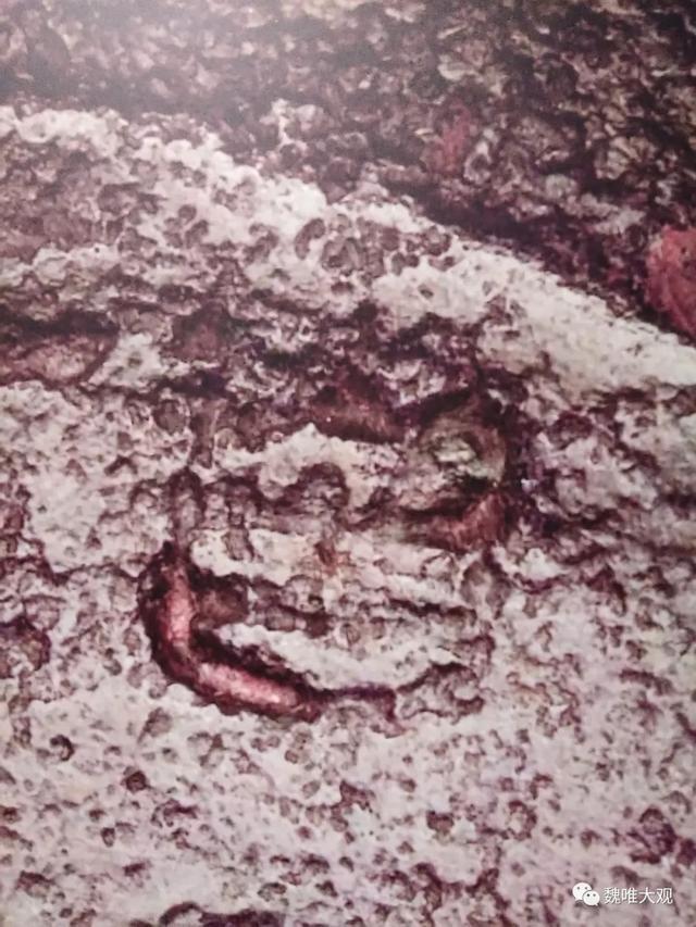 虎鎣yíng,一鎣的三世三生