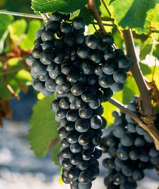 地毯瓷砖难清理,污渍洗不掉