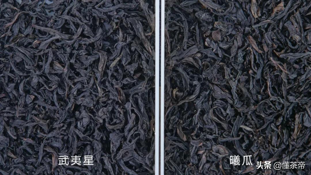 大红袍测评武夷星,大红袍贡茶推荐哪种好喝