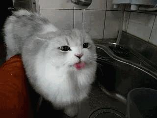 有蛀牙但没时间做根管怎么办,蛀牙多严重做根管