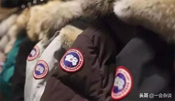 这个冬天,天气很冷,加拿大鹅很出名,波士登很火,你会选择谁