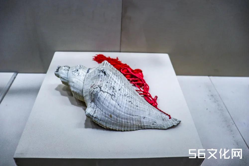 云南民族博物馆地下空间,云南民族博物馆开放了吗