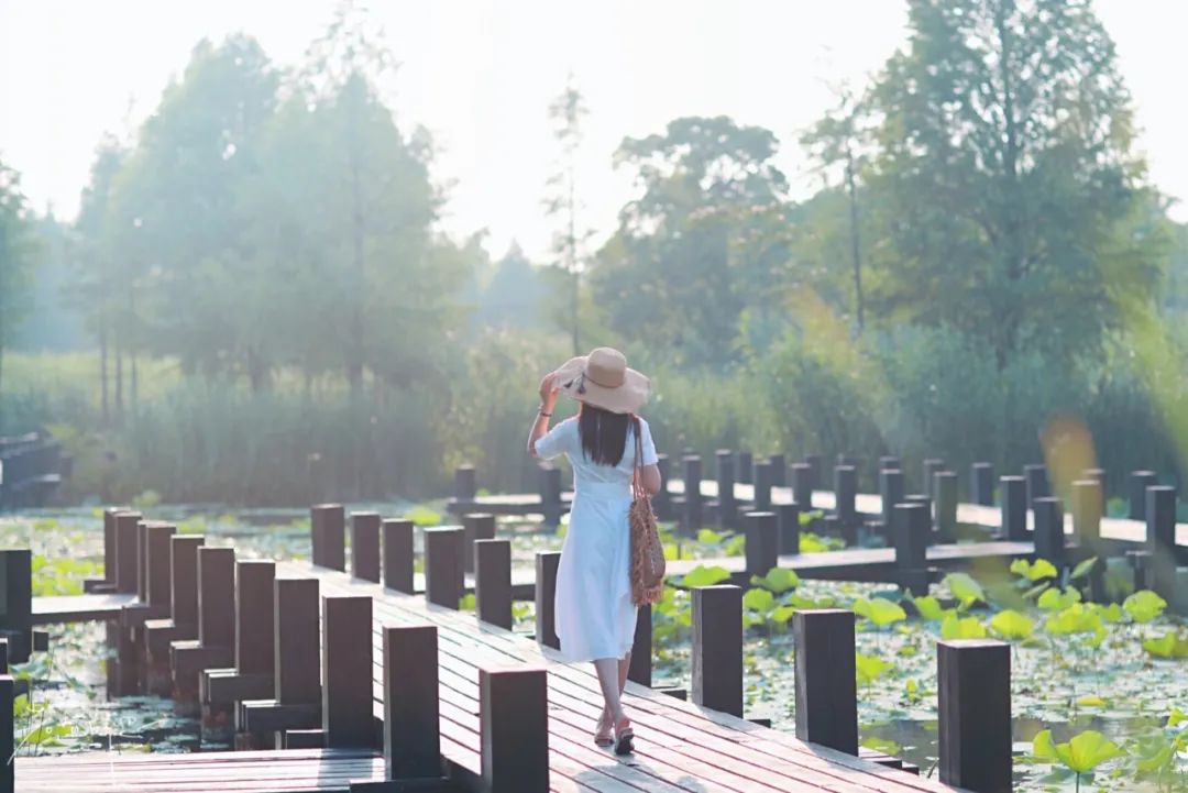 娌欏娴滈鏅尯鑺辨捣,娌欏娴滅殑绱壊鑺辨捣