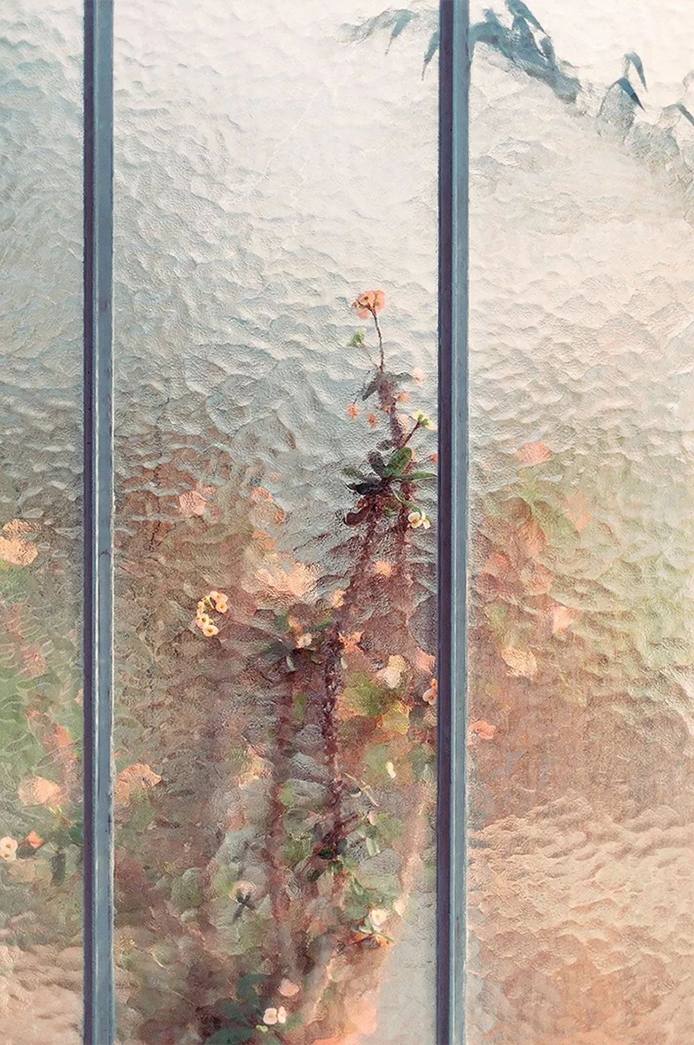 让情绪流动起来，才是“减龄”的密钥