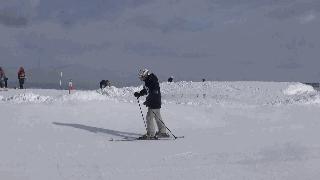 初学双板滑雪基本动作,双板滑雪基本姿势教学