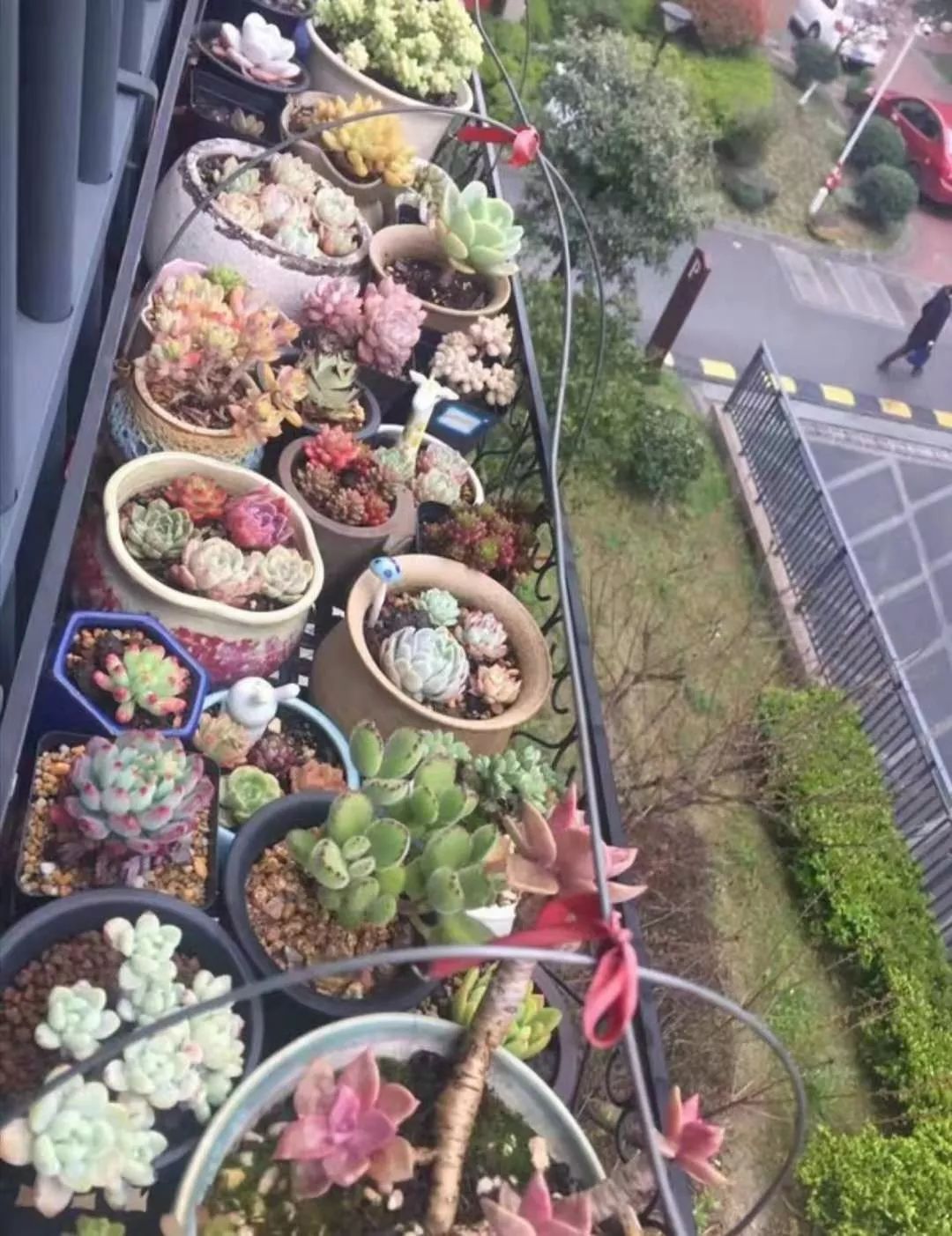 从0到团钩达人，我到底付出了多少努力