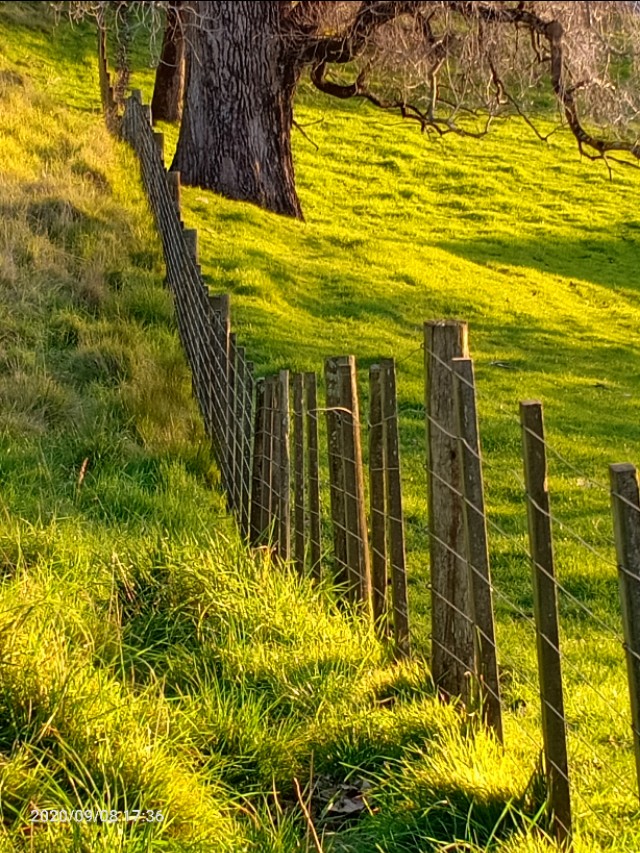 一树山,我的精神家园