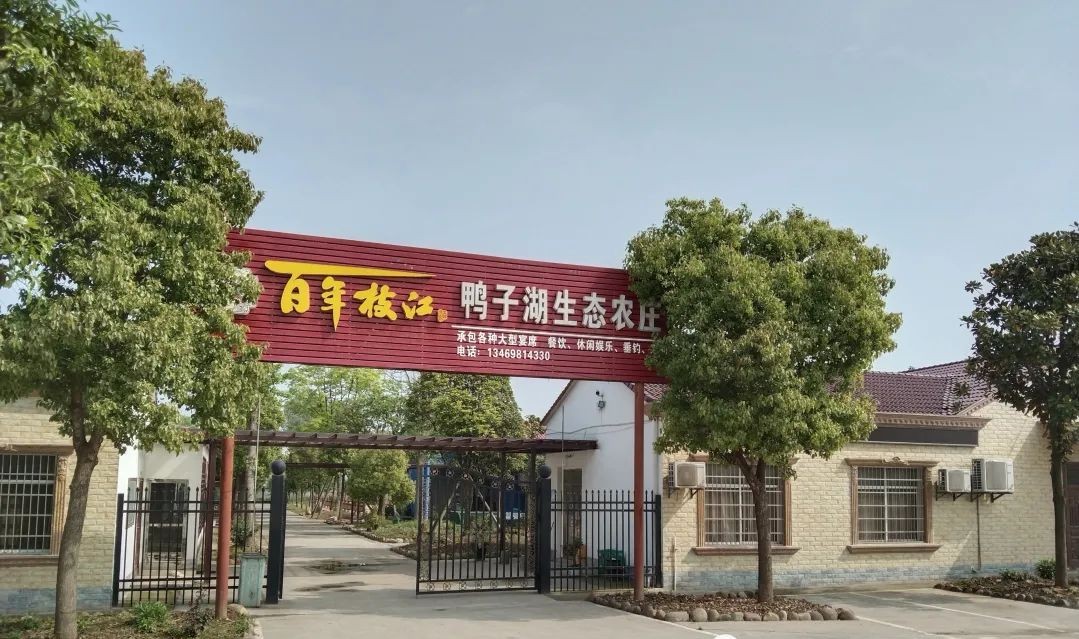 守望孤独的句子,守望大山里的老人