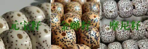 星月菩提的7大基本知识,星月菩提避坑指南