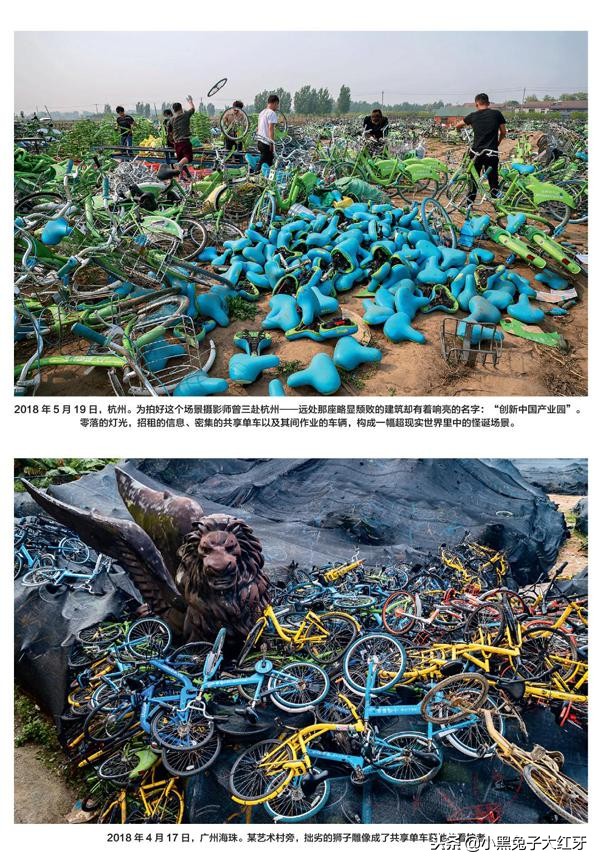 共享单车坟场你见过这样的画面吗,共享单车无处安放
