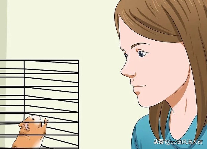 如何让仓鼠在短时间之内信任自己,如何让小仓鼠信任你