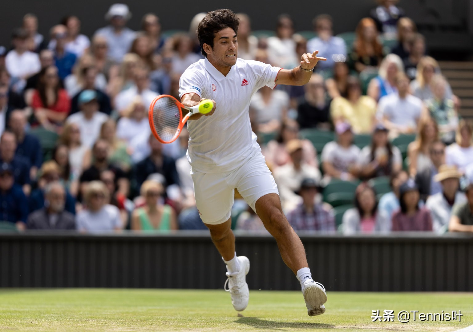 温网德约科维奇vs穆雷,温网德约科维奇vs诺里