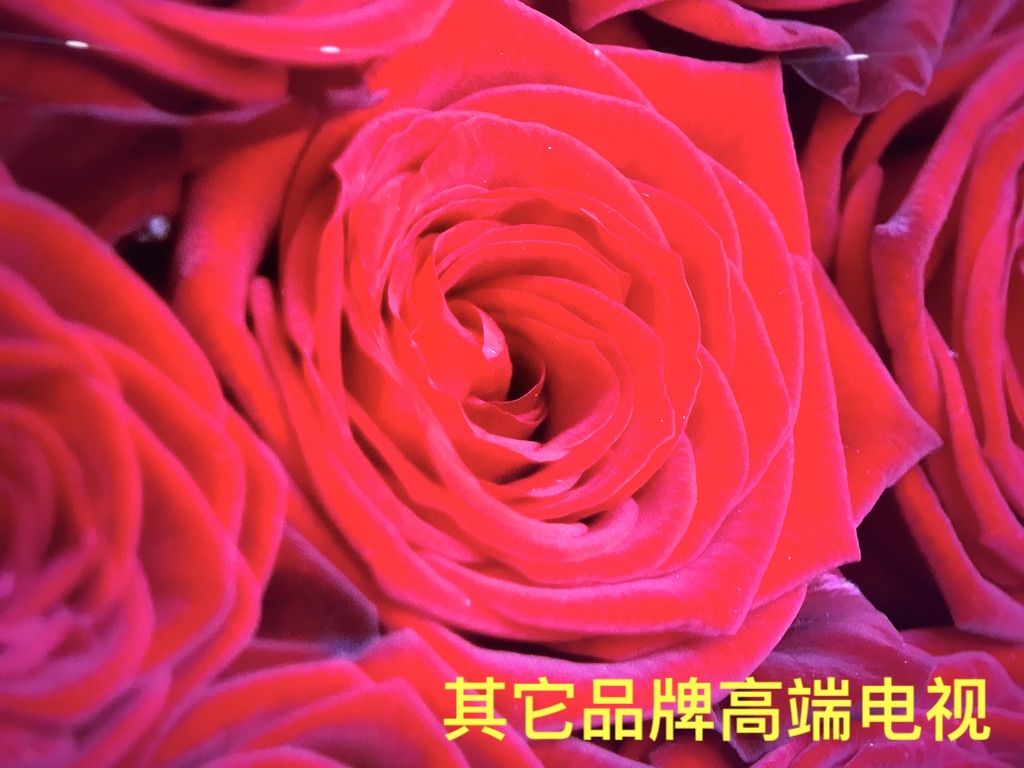 为什么说索尼的视频最好,索尼电视为什么画质这么好