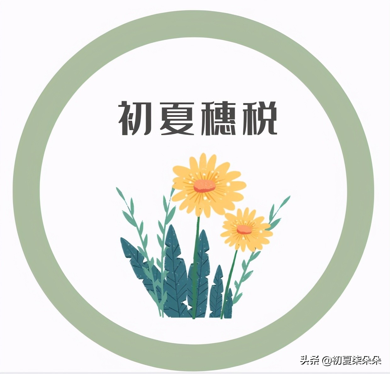 佣金费用怎么处理,佣金要怎么缴税