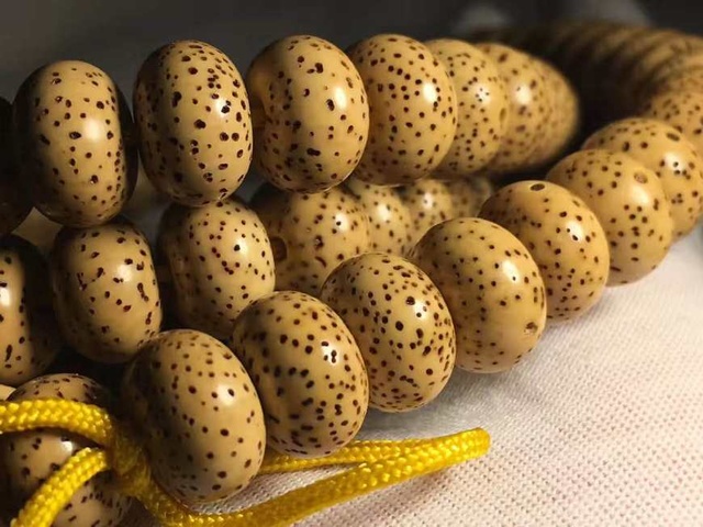 什么样的算是好的星月菩提,什么样的星月菩提最好呢