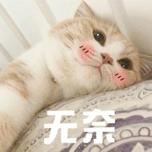 你知道哪些正规暴利的行业,农村未来10年暴利行业