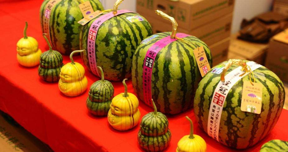 日本妹子在中国买水果,日本妹子到中国吃西瓜
