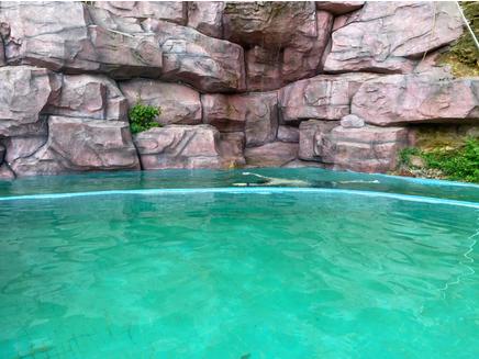 这5家海景民宿躺在床上就能看海,极有格调的纯白泳池民宿