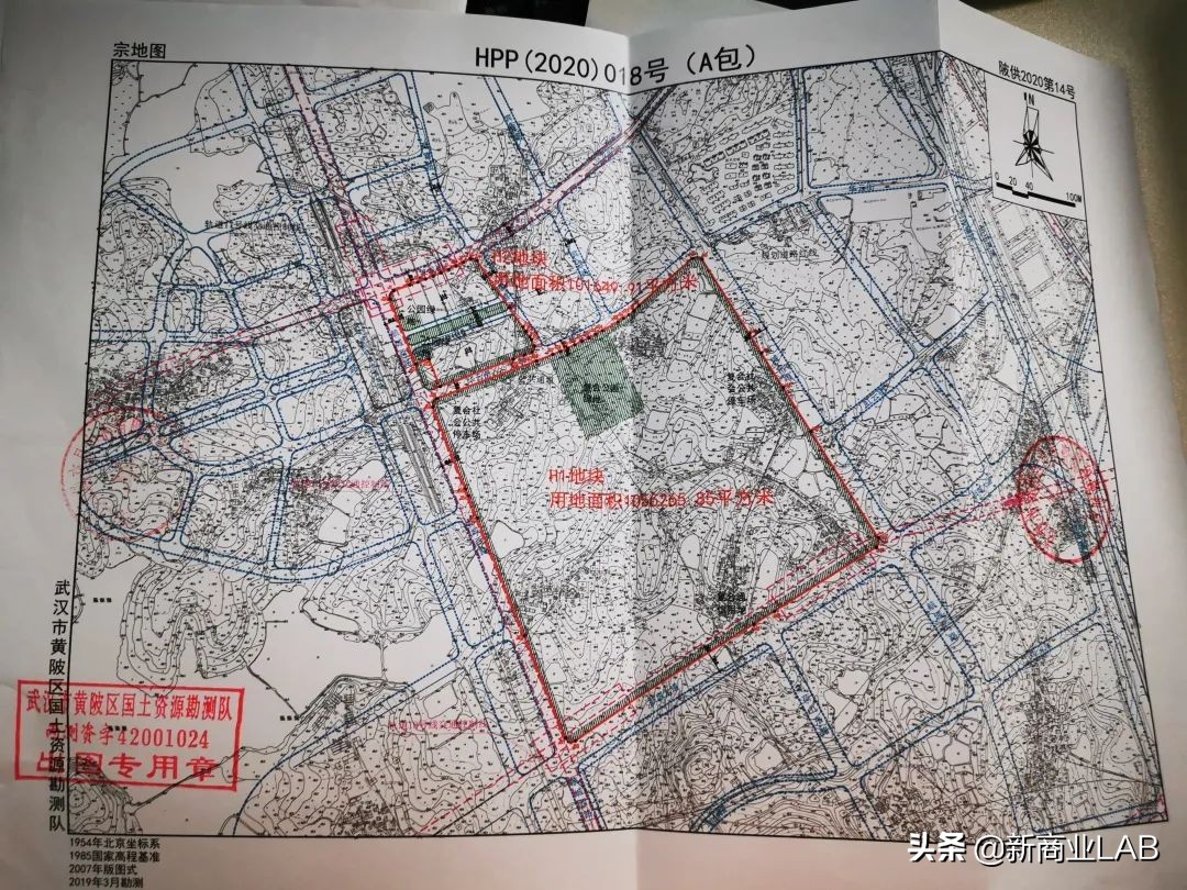 绿地武汉黄陂项目,武汉盘龙城绿地天河国际会展城