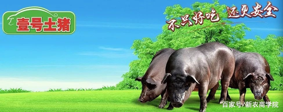 农业特色品牌,未来农业发展趋势品牌农业