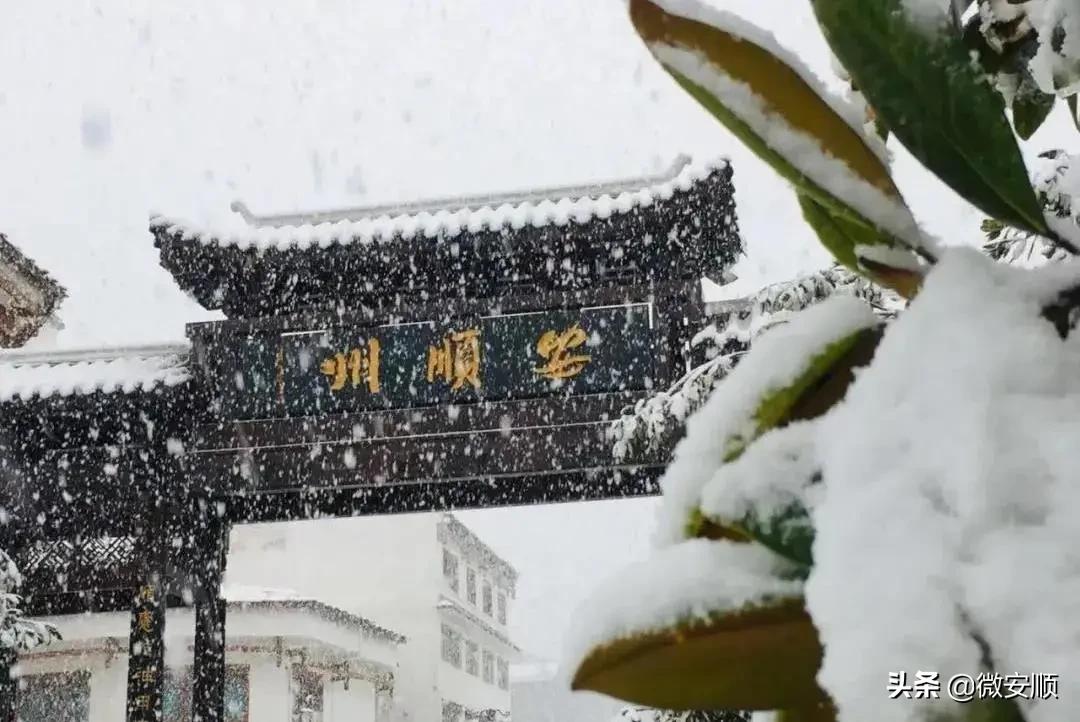 你好！我叫安顺，这是我2021最新简历