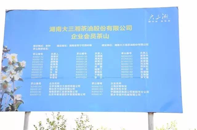 大三湘茶油销售模式,湖南大三湘茶油产业