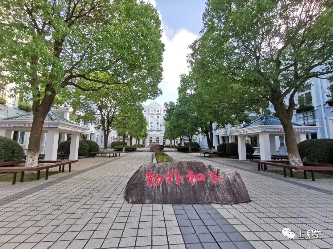 上海新建40所学校,上海新建42所学校名单