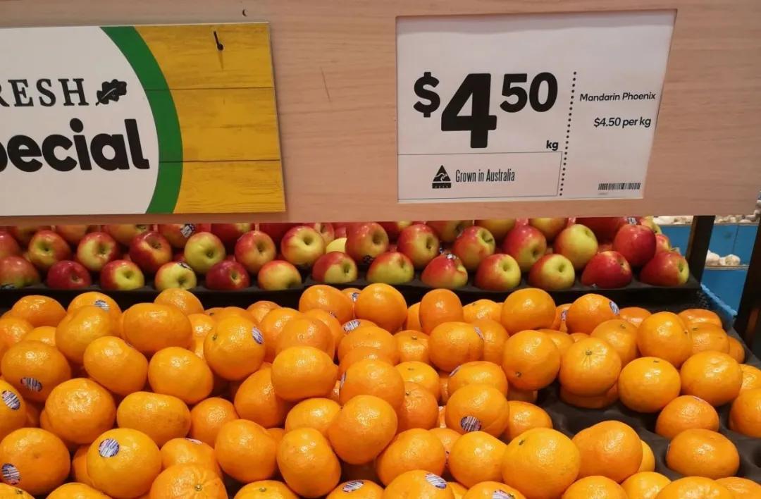 澳洲橘子7元,澳洲红桔子