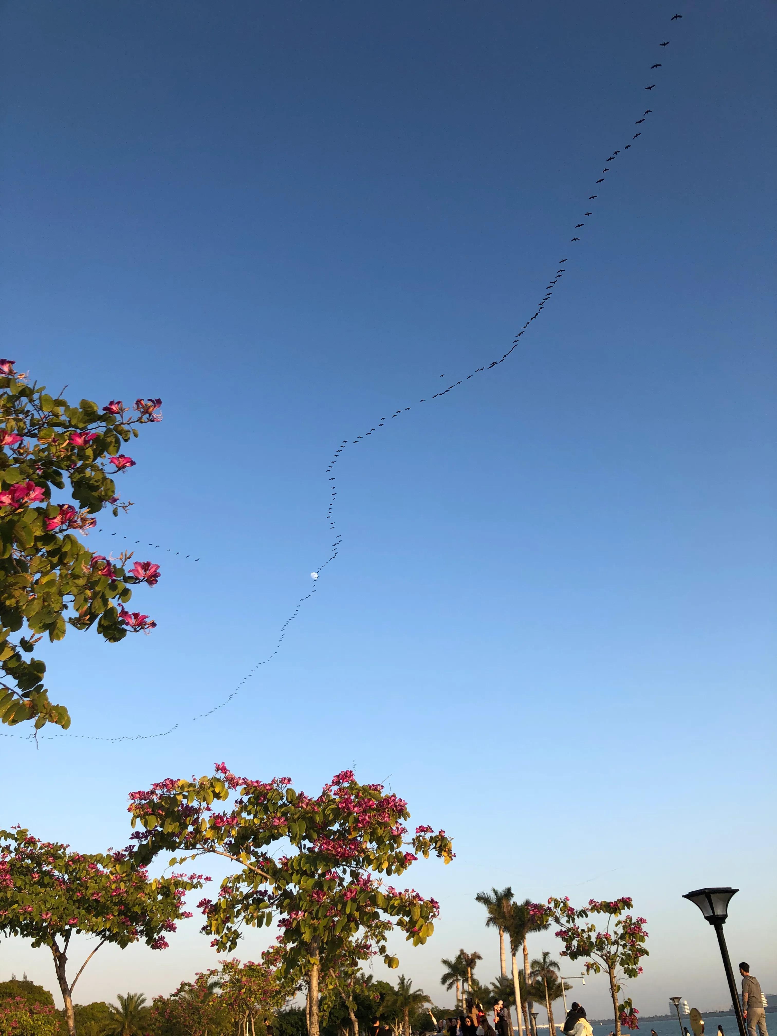 厦门集美学村龙舟池好玩吗,厦门集美学村龙舟池捞鱼