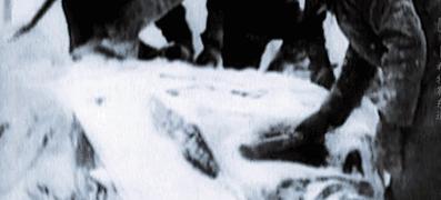 冬季打底内搭可外穿毛茸茸,美军抓绒衣保暖吗