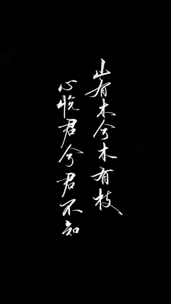 再创业视频,再创业之路