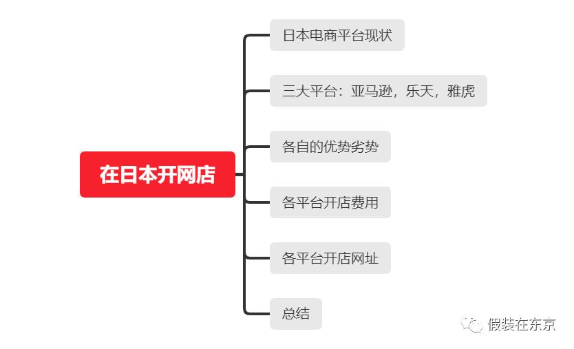 日本网店平台有哪些,现在在哪个平台开网店好