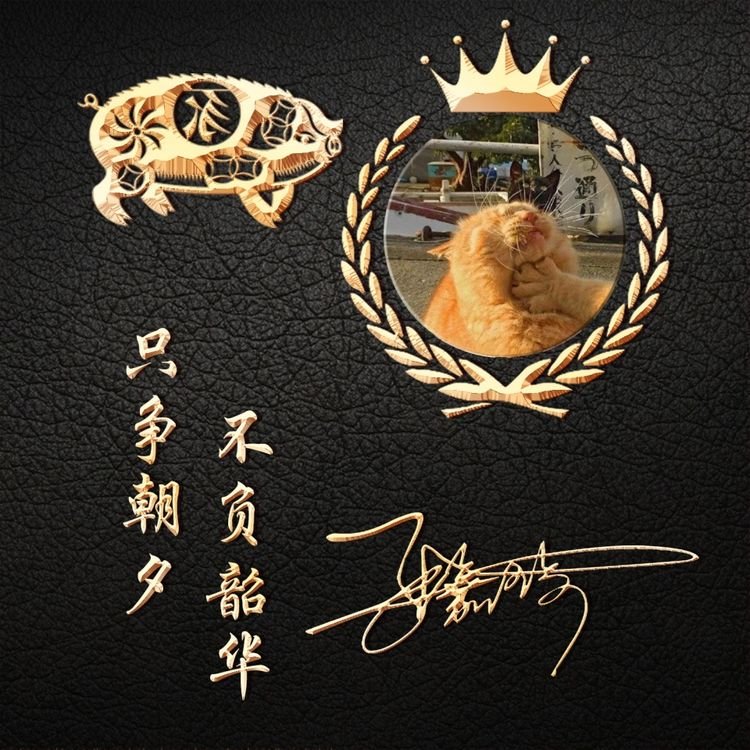 用自己个性签名做微信头像,3d个性签名头像