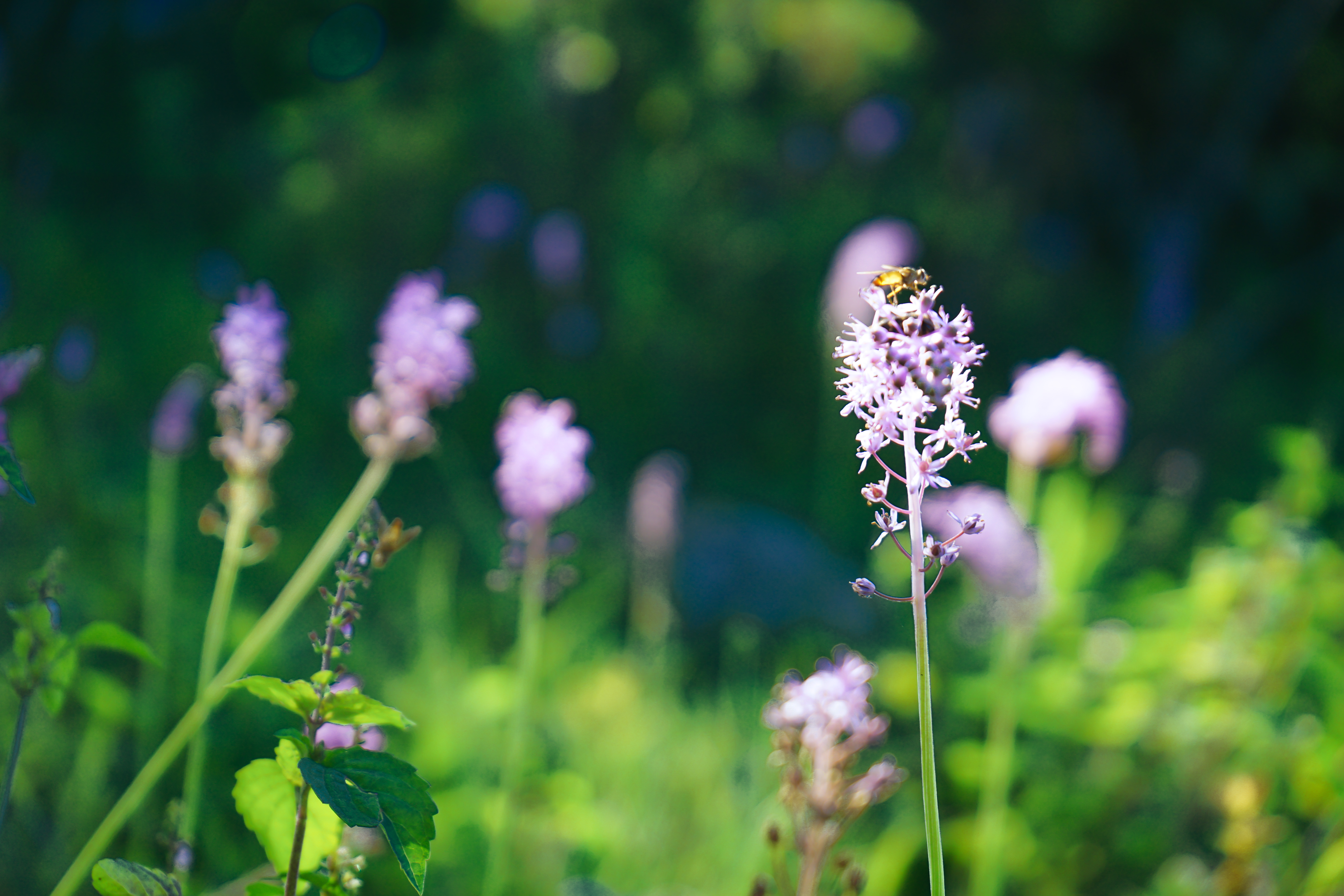 深藏辽东的小漓江,历史故事沿河流淌,如今正美若仙境