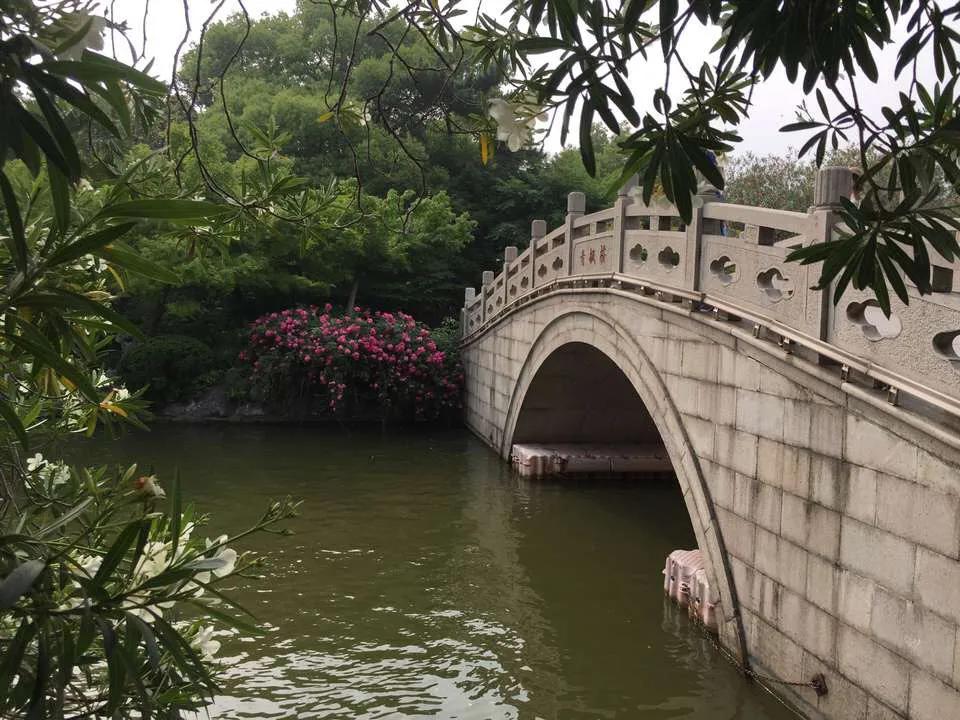 上海长风公园海洋世界,上海长风公园2号门地址